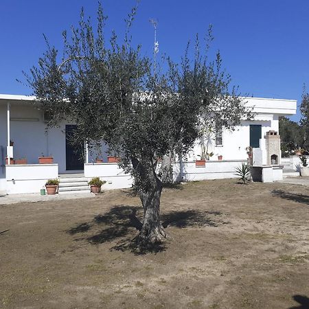 Casa Vacanza Fiorella Torre dell'Orso Værelse billede
