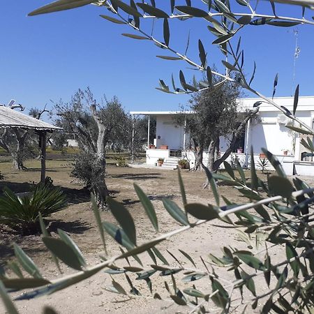 Casa Vacanza Fiorella Torre dell'Orso Værelse billede