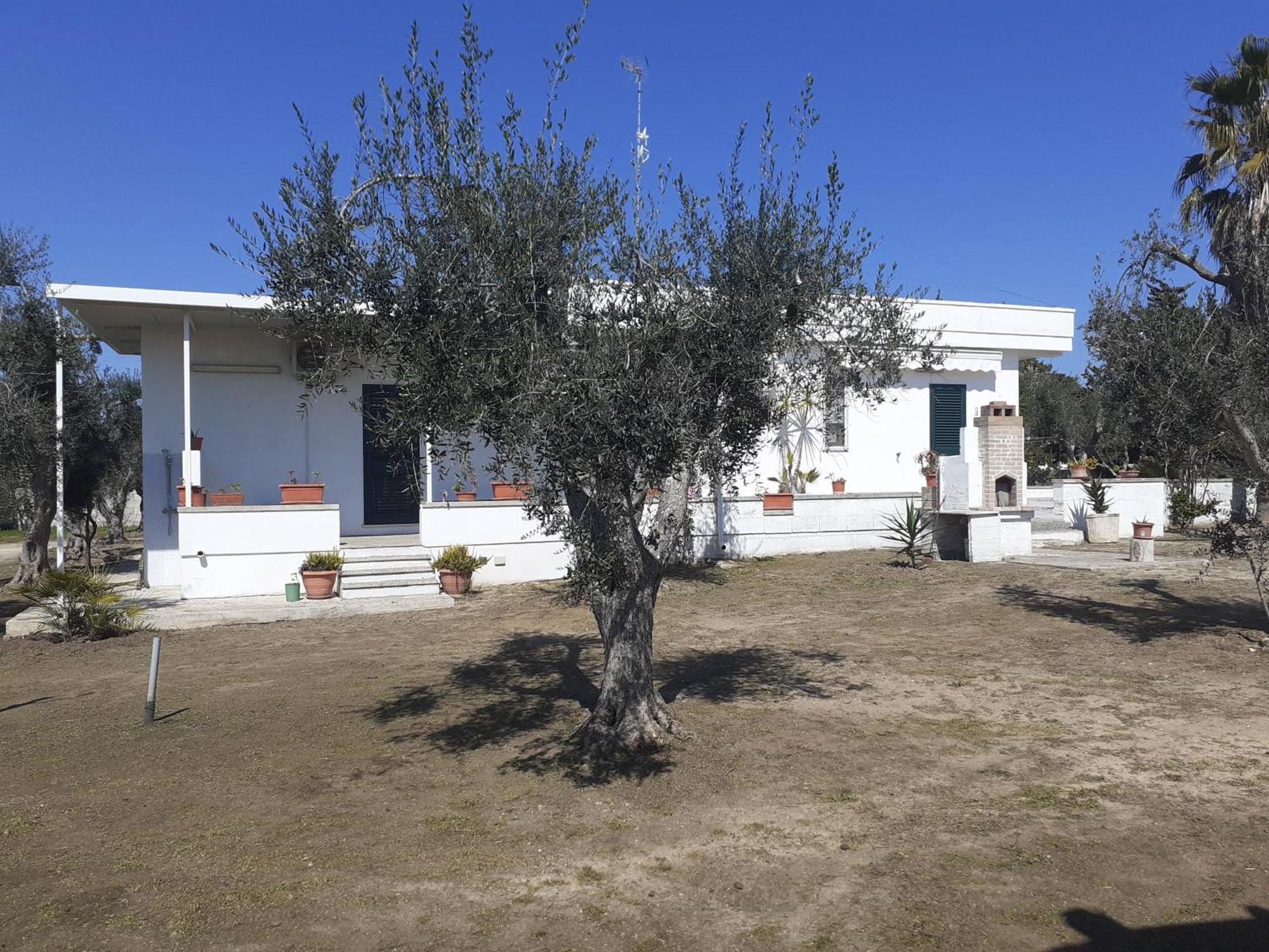 Casa Vacanza Fiorella Torre dell'Orso Værelse billede