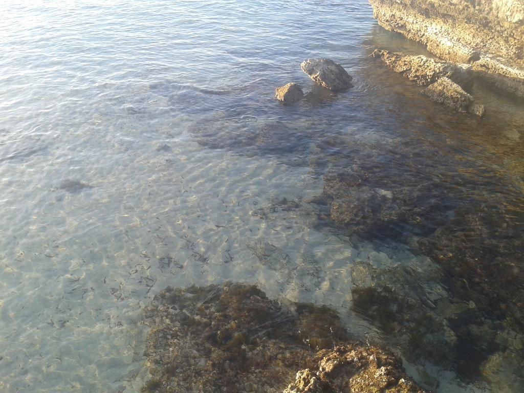 Casa Vacanza Fiorella Torre dell'Orso Eksteriør billede