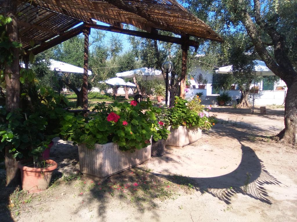 Casa Vacanza Fiorella Torre dell'Orso Eksteriør billede